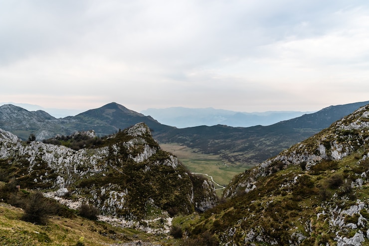 Foto gratuito vista de pájaro de las hermosas montañas rocosas cubiertas por árboles en un día nublado