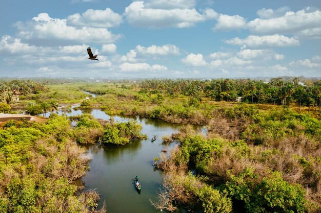 Vista de pájaro de un humedal con personas que viajan en botes y disfrutan de la naturaleza