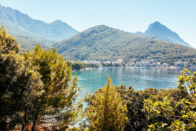 Vista panorámica de árboles con verdes montañas y casas con lago.