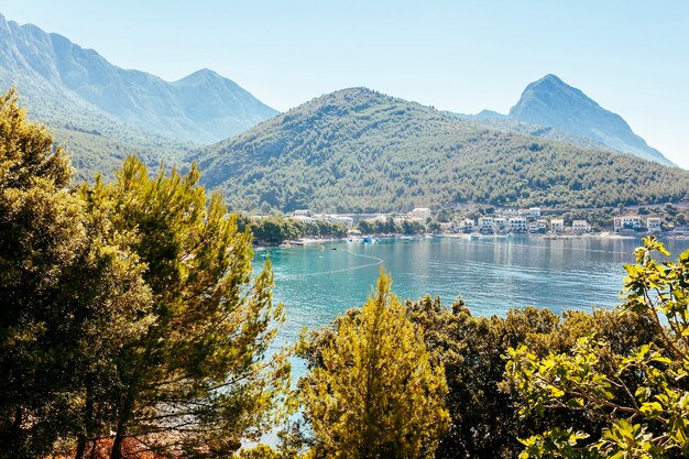 Vista panorámica de árboles con verdes montañas y casas con lago.