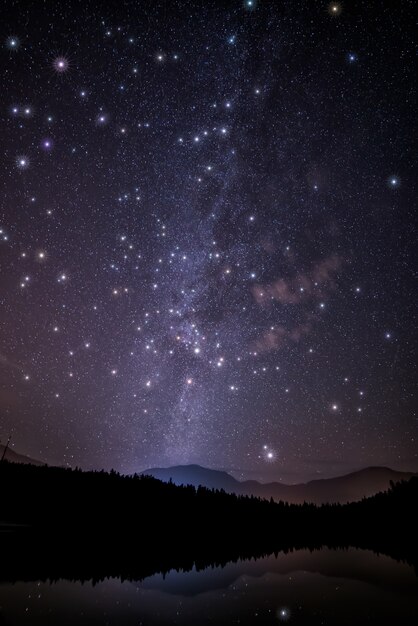 Vista panorámica del cielo nocturno con estrellas