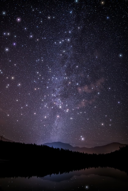 Vista panorámica del cielo nocturno con estrellas