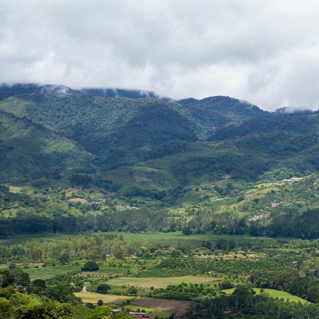 Vista panorámica de la colina y la montaña en costa rica