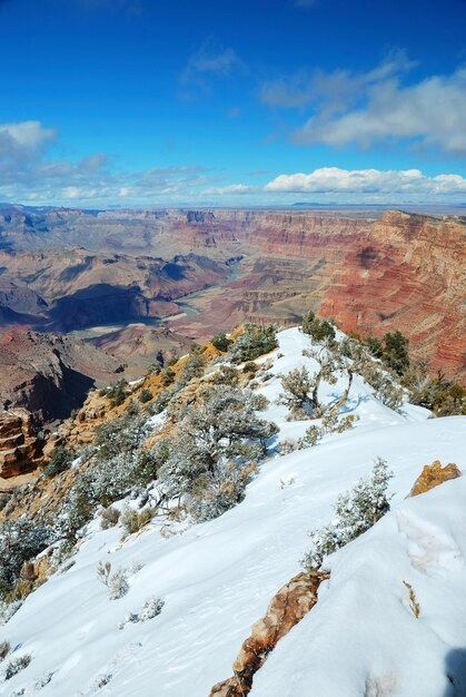 Vista panorámica del Gran Cañón en invierno con nieve