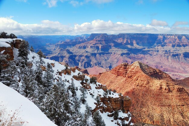 Vista panorámica del Gran Cañón en invierno con nieve