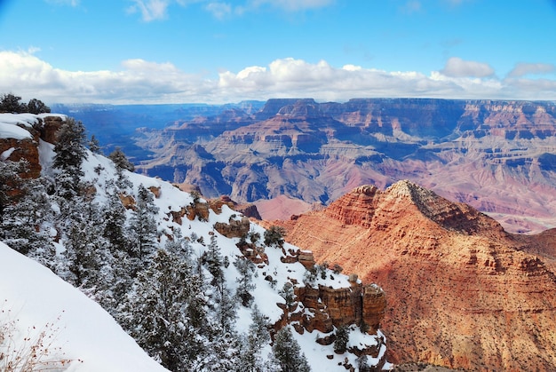 Vista panorámica del Gran Cañón en invierno con nieve