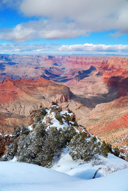 Vista panorámica del Gran Cañón en invierno con nieve