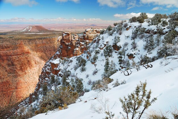 Vista panorámica del Gran Cañón en invierno con nieve