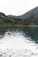 Foto gratuita vista panorámica del lago cerca de las verdes montañas