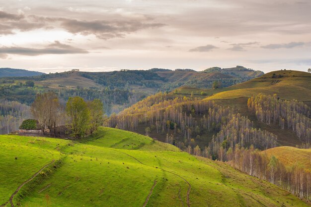 Vista panorámica de las montañas Apuseni bajo un cielo nublado en Dumesti Rumania