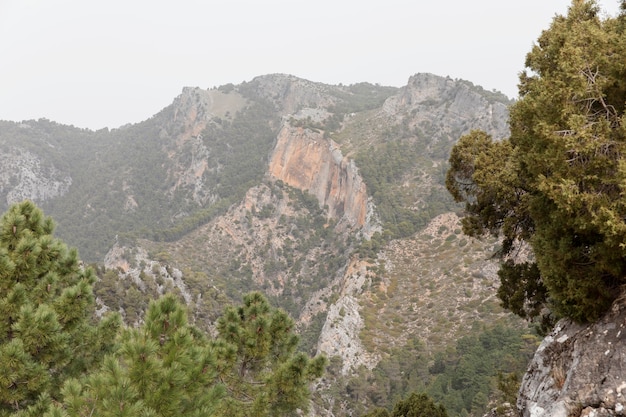 Vista panorámica de las montañas