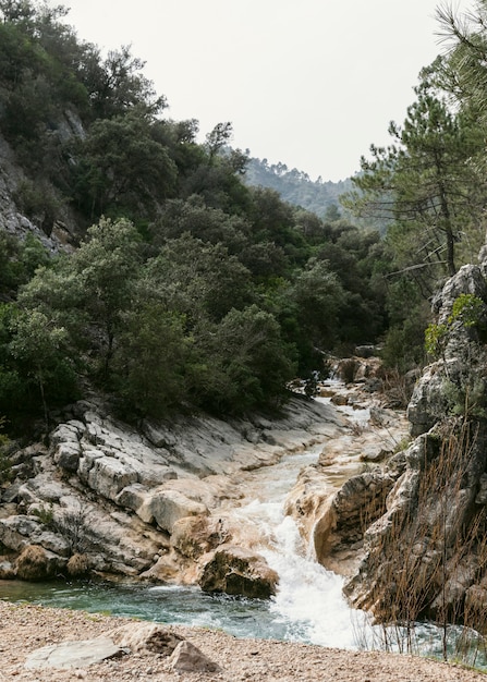 Vista panorámica de la naturaleza