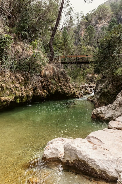 Vista panorámica de la naturaleza