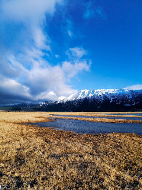 Vista panorámica de una orilla del lago contra una montaña coronada de nieve y un cielo azul