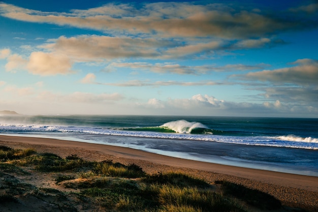 Vista panorámica de una playa cubierta de hierba con olas y horizonte nublado