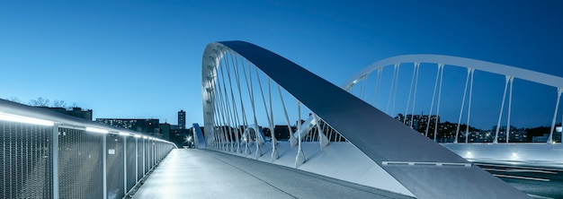 Vista panorámica del puente Schuman por la noche, Lyon.