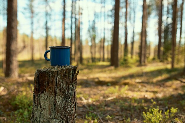 Vista panorámica de senderismo taza de té esmaltado en tocón en primer plano con pinos y cielo azul de fondo.