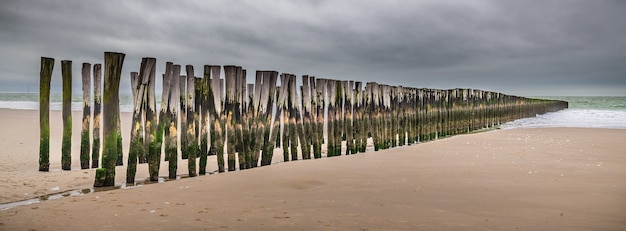 Vista panorámica de tablones de madera verticales en la arena de un muelle de madera inacabado en la playa.