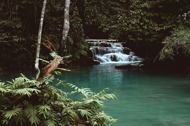 Vista de pequeñas cascadas en la jungla en la cascada Kuang Si en Luang Prabang, Laos