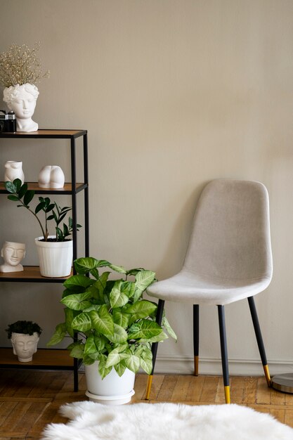Vista de planta en maceta en habitación con silla y estantería.