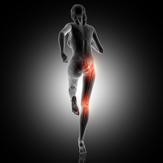Vista posterior en 3D de una mujer corriendo con articulación de rodilla y cadera
