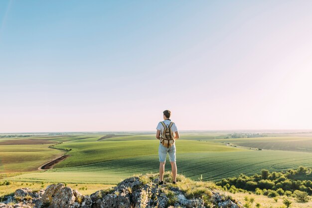 Vista posterior del caminante masculino con la mochila que mira el paisaje verde del balanceo