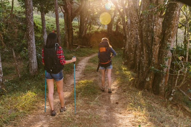 Vista posterior de dos mujeres que caminan en bosque