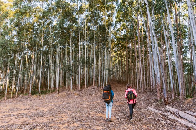 Vista posterior de dos mujeres que exploran el bosque denso