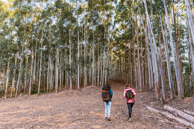 Vista posterior de dos mujeres que exploran el bosque denso