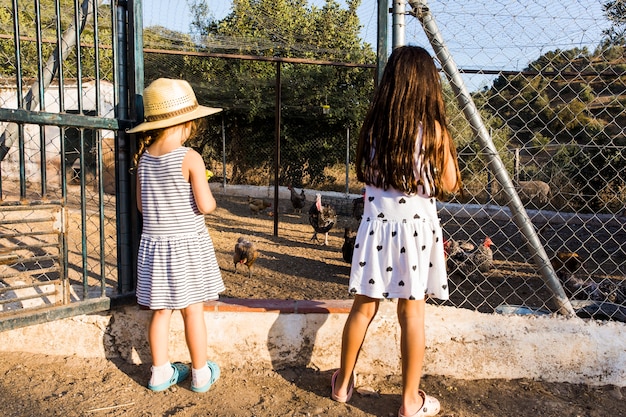 Vista posterior de dos niñas de pie fuera de la granja de pollos