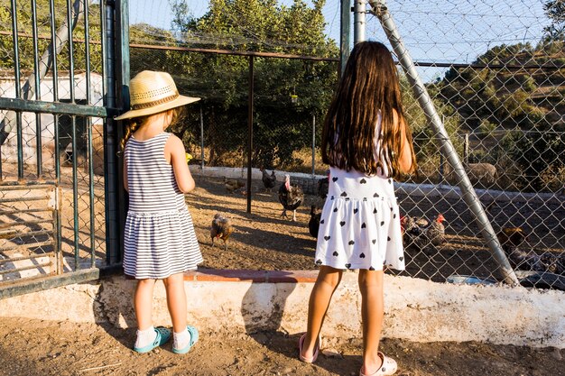 Vista posterior de dos niñas de pie fuera de la granja de pollos