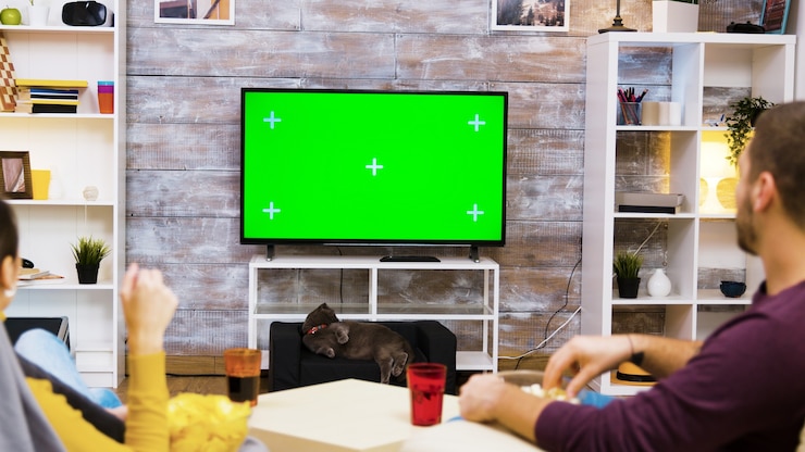 Foto gratuito vista posterior de la joven pareja sentada en sillas mirando la televisión con pantalla verde, comiendo palomitas de maíz con el gato mirándolos.