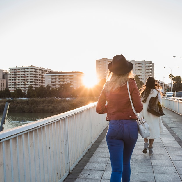 Foto gratuita vista posterior de mujeres caminando sobre el puente