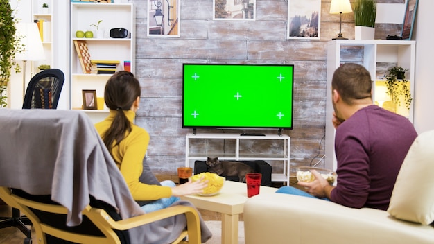 Vista posterior de la pareja sentada en una silla comiendo comida chatarra mientras ve la televisión. Gato frente a la televisión.