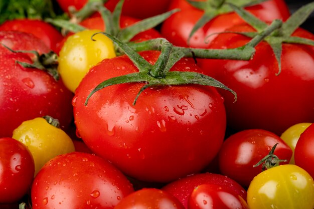 Vista de primer plano de tomates amarillos y rojos