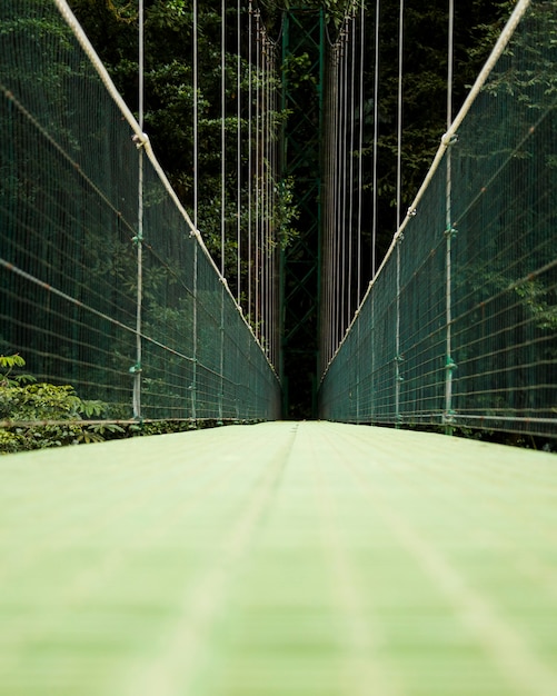 Vista del puente colgante sobre la selva tropical de costa rica