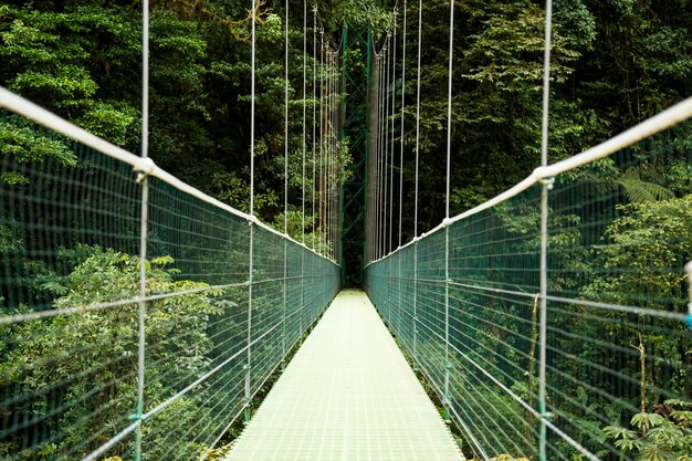 Vista del puente colgante sobre la selva tropical de costa rica