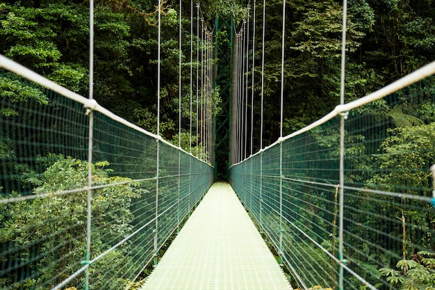 Vista del puente colgante sobre la selva tropical de costa rica