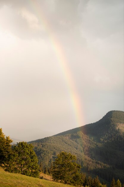 Vista rural con un hermoso arco iris.