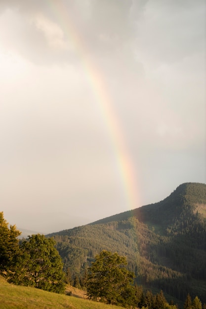 Vista rural con un hermoso arco iris.