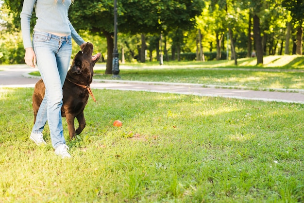 Vista de sección baja de una mujer caminando con su perro en el jardín