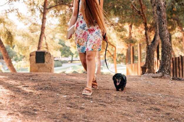 Vista de sección baja de una mujer caminando con su perro en el parque