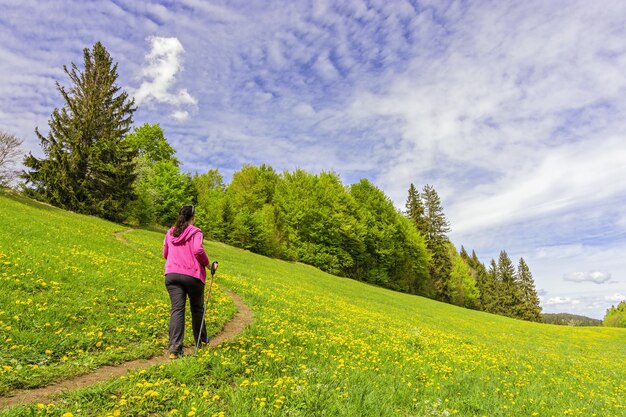 Vista de senderismo femenino en un paisaje verde cubierto de árboles durante el día