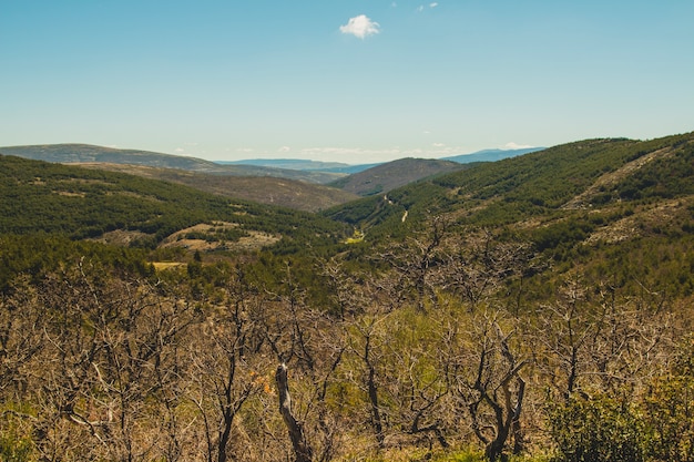 Foto gratuita vista sobre campo montuoso