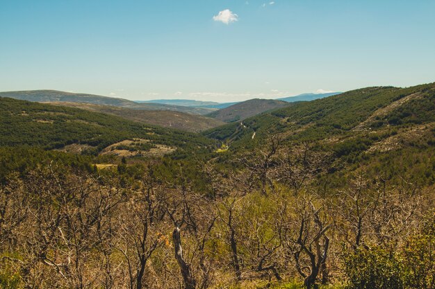 Vista sobre campo montuoso