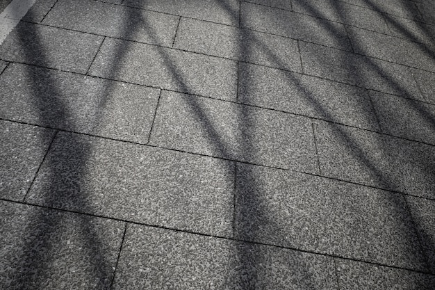 Vista de sombras abstractas de la luz del día al aire libre