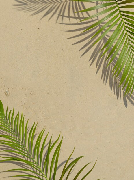 Vista superior 3d composición de hojas de palma verde