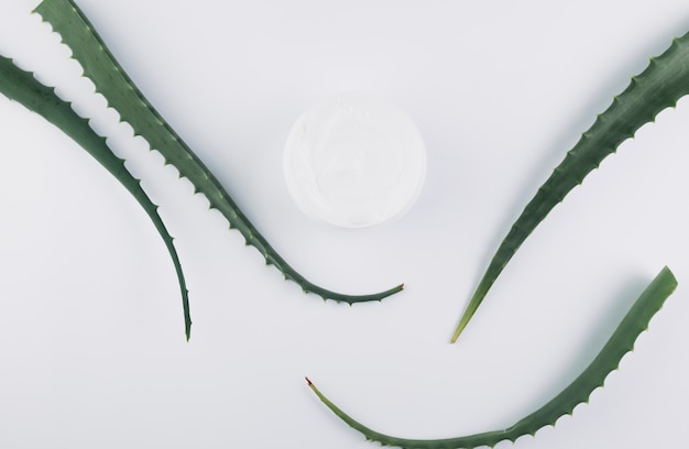 Vista superior aloe vera con herramientas de belleza y cosméticos