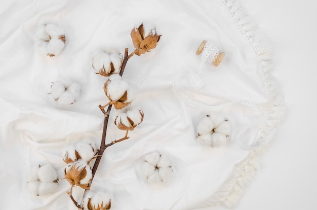 Vista superior arreglo de flores de algodón