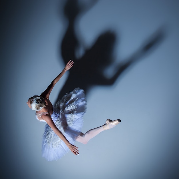 Vista superior de la bailarina en el papel de un cisne blanco sobre fondo azul.